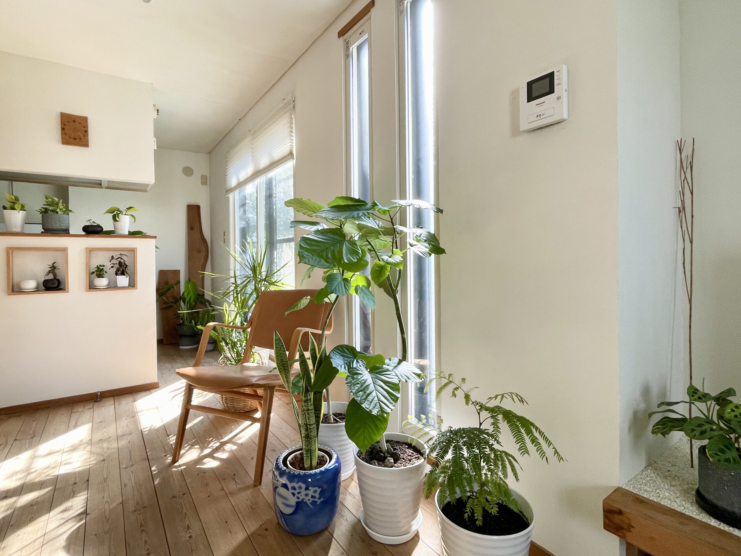 東京都世田谷区三軒茶屋・下北沢の住空間ギャラリー探彩工房　自然素材の家を２５年以上手掛けてきた探彩工房建築設計事務所が提案する、麻のオーダーカーテンと山野草・苔アートのギャラリーです。一級建築士が光と自然を感じる居心地の良い住空間をデザインし、日々の暮らしに安らぎと癒しをお届けします。