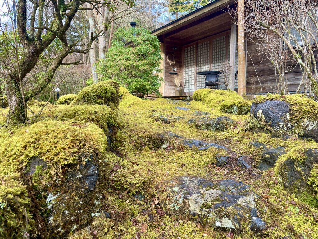 十里木高原別荘地 ロックガーデン・苔庭