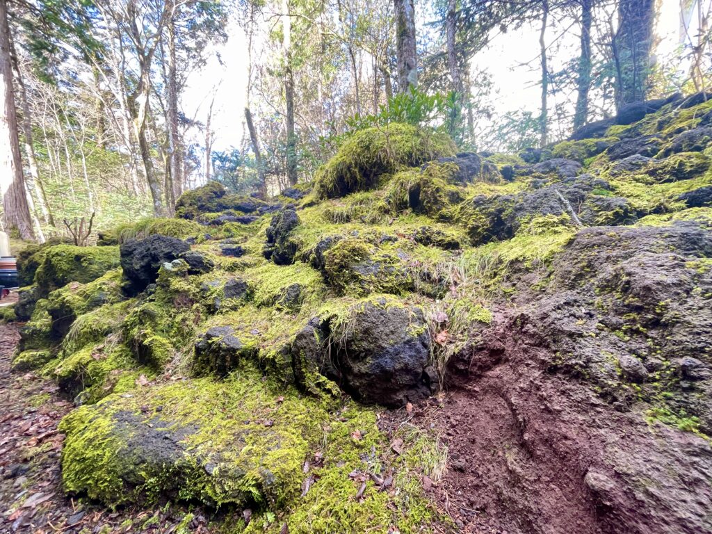十里木高原別荘地 苔庭・ロックガーデン