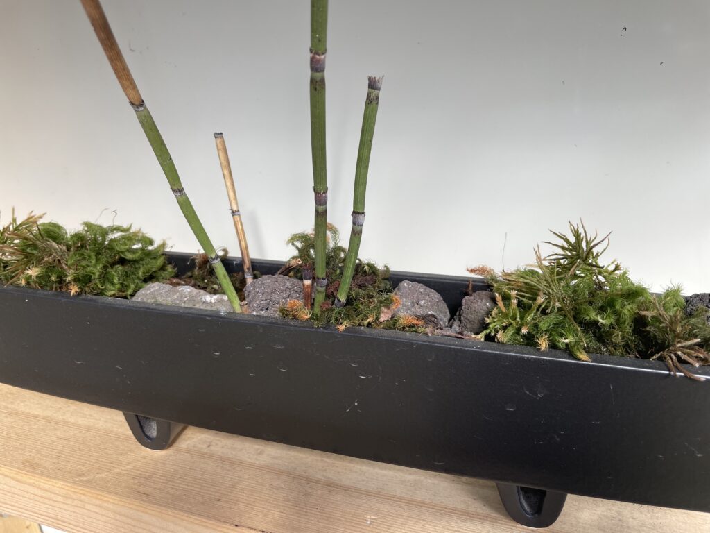 十里木高原別荘地 苔庭・ロックガーデン 苔盆栽