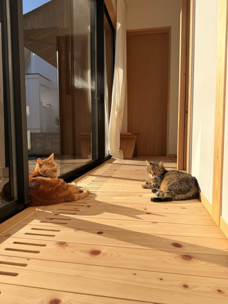 神奈川県鎌倉市西鎌倉に建築したL字型間取り設計の自然素材の家。夏や梅雨時は湿気や熱を排気し、冬は太陽熱で温めた外気を床下に送り換気をしながら床暖房するソーラーシステムそよ風で家中足元から暖かくします。壁天井は消臭調湿効果が高い珪藻土、床は桧フローリングなど天然素材仕上げ。自然素材とソーラーシステムそよ風の相乗効果で湿気が少なく夏涼しく冬暖かいパッシブデザインの環境共生住宅です。 全室収納は造り付けで作成したのでスッキリものが片付き使い勝手と住み心地がいいサステナブルハウス。 画像は玄関廊下で日向ぼっこする猫たち。麻のカーテンからは柔らかい光が相ります。