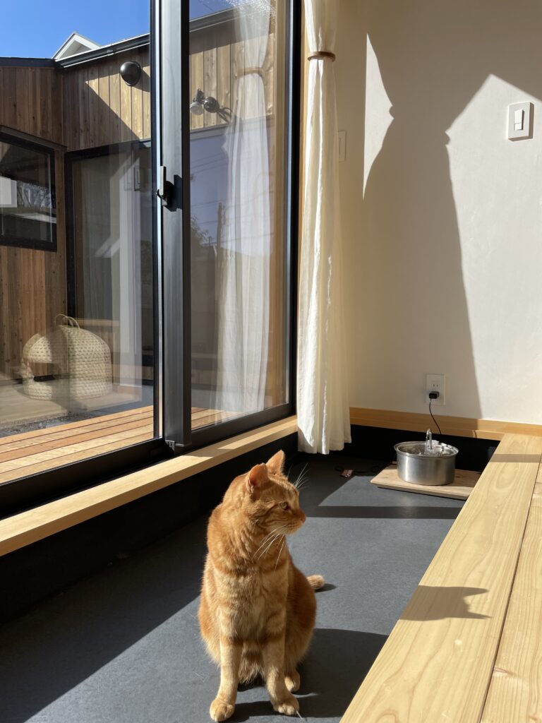 鎌倉市西鎌倉に建築したL字型間取りの自然素材の家 。梅雨時や夏は熱気や湿気を排気し冬は太陽熱で温めた外気を床下に送り換気をしながら床暖房するソーラーシステムそよ風で家中足元から暖かい環境共生住宅です 。全室壁天井は消臭調湿効果が高い珪藻土床は桧のフローリングなど天然素材仕上げ 。自然素材とソーラーシステムそよ風の相乗効果で湿気が少なく夏涼しく冬暖かい明るく風通しのいいパッシブデザインの注文住宅 。全室収納を造り付けで作成しスッキリものが片付き使い勝手と居心地がいいサステナブルハウス。 画像はウッドデッキに出入りできるリビングの土間。夏はひんやり、冬は床暖房で暖かく猫が大好きな場所です。