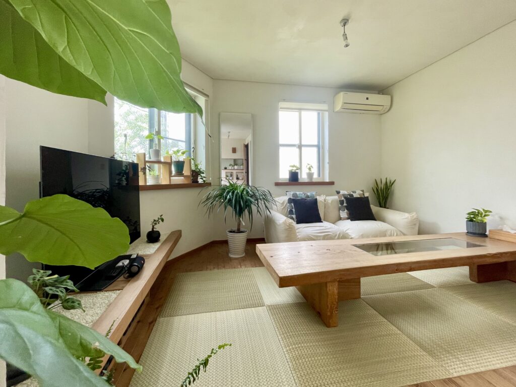 世田谷区三軒茶屋・下北沢の麻オーダーカーテン・苔・山野草・観葉植物住空間ギャラリー探彩工房 苔玉づくりなど予約制でワークショップイベント開催